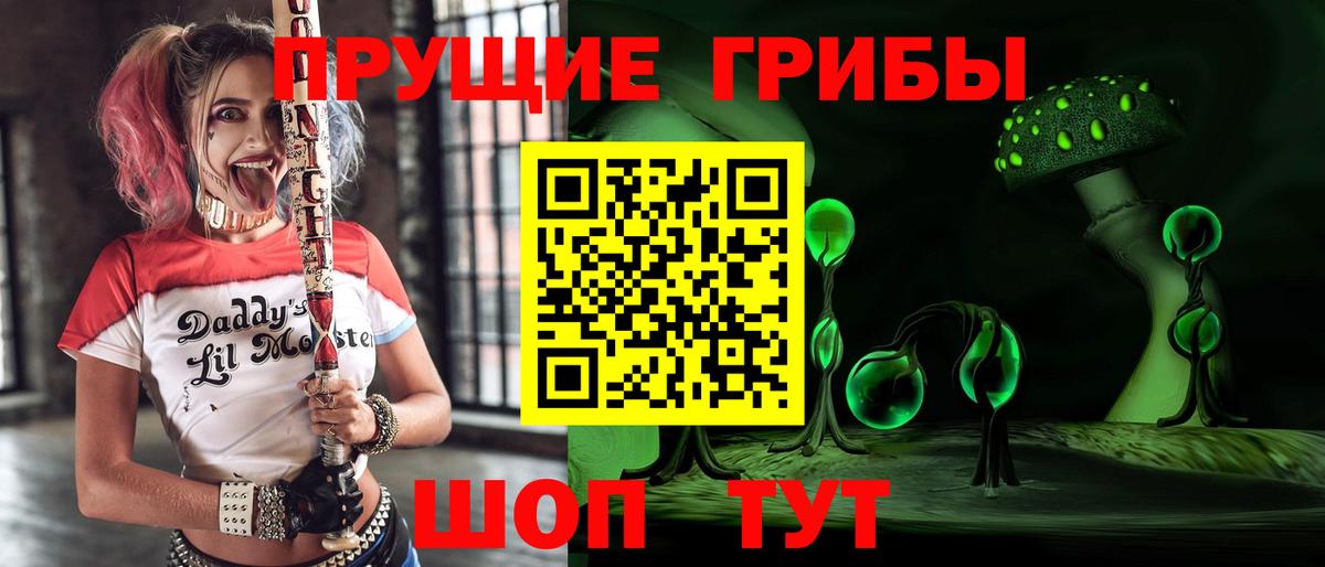 Кирово-Чепецк  Псилоцибиновые грибы мицелий  Вход с VPN 